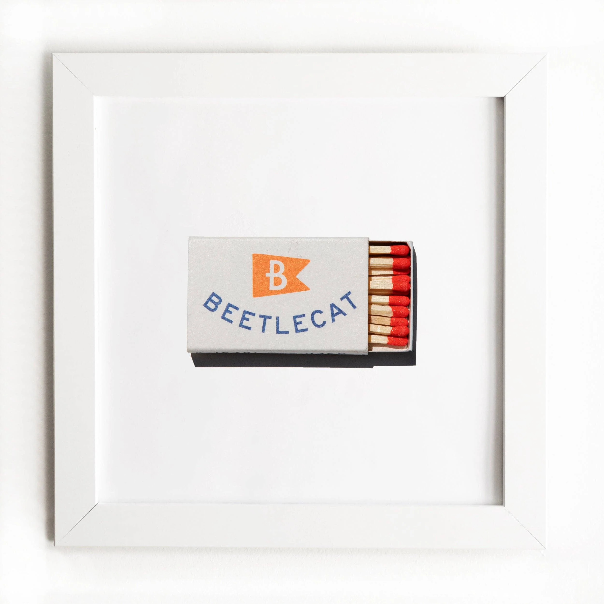 Beetlecat - Image 3