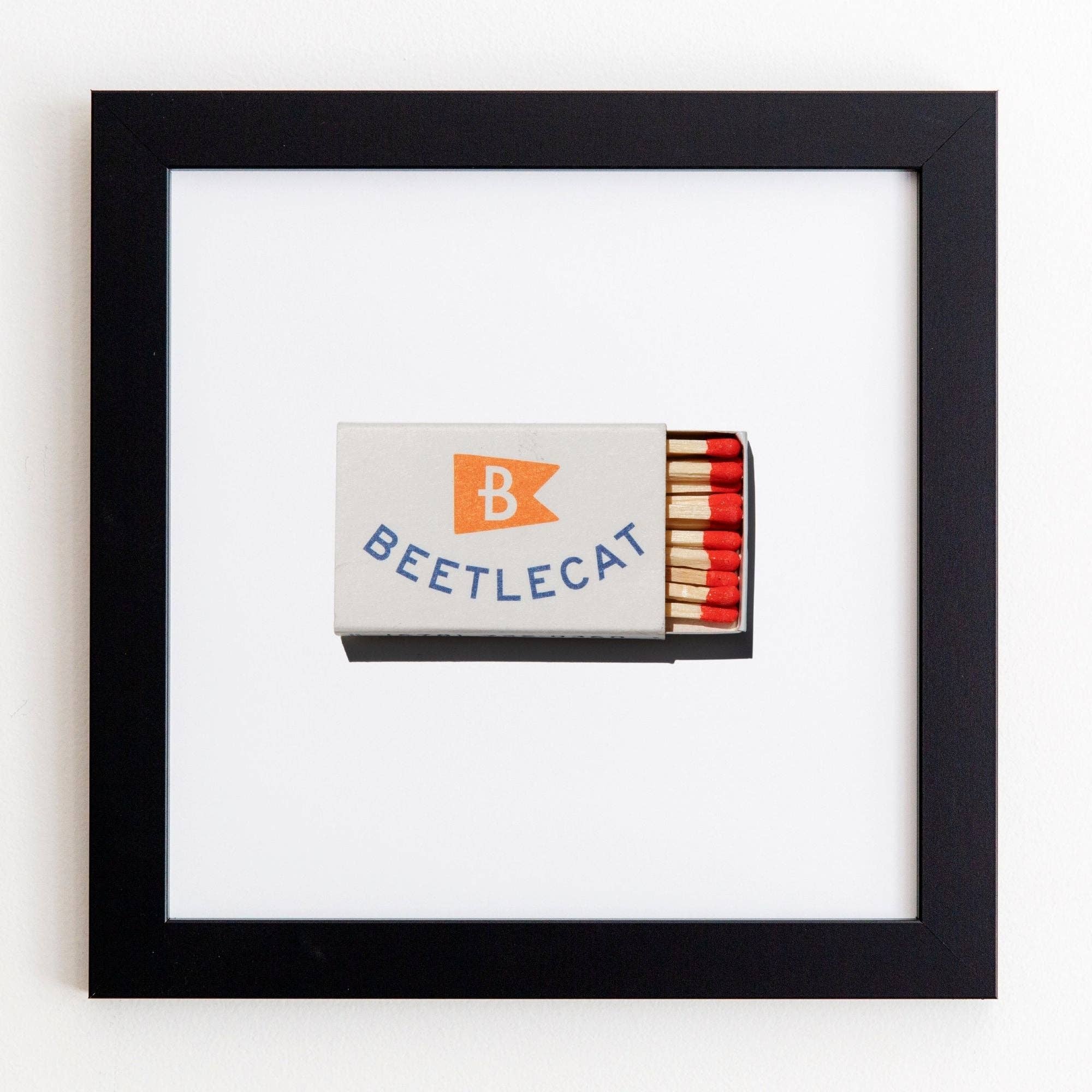 Beetlecat - Image 4