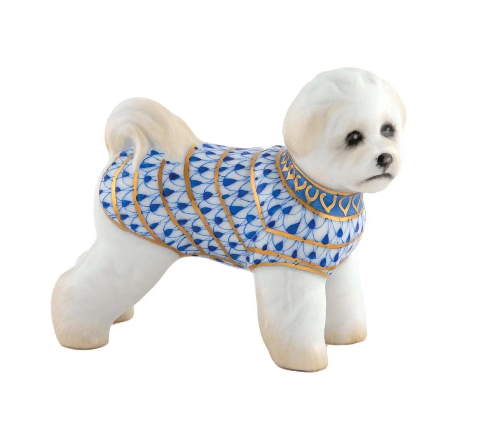 Bichon Frise - Image 2