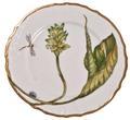 Anna Weatherley Elegant Foliage Dinner Plates - Image 4
