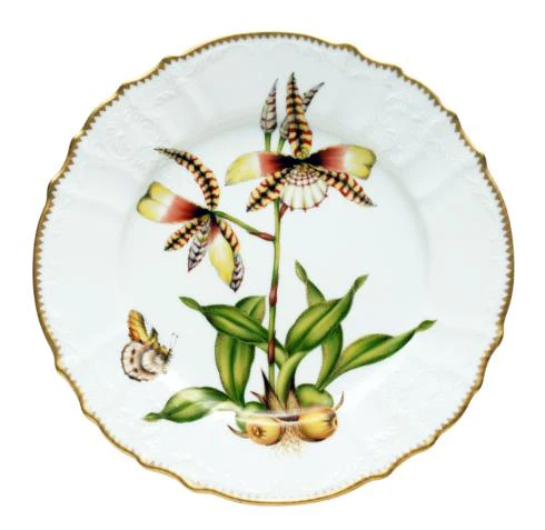 Anna Weatherley Orchids Dinner Plates - Image 4