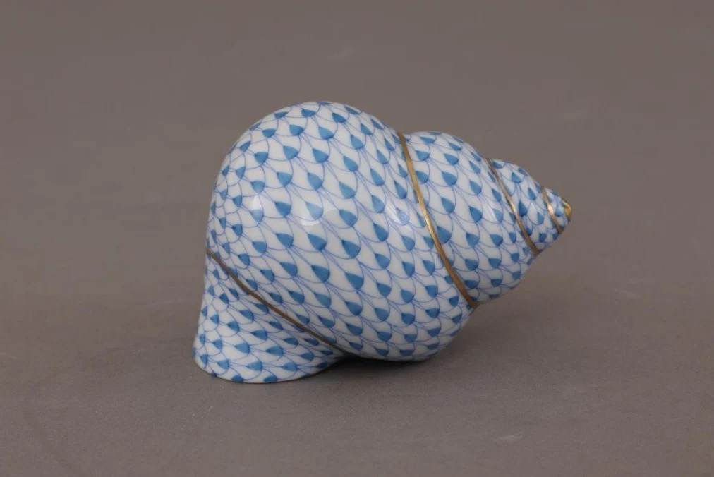Periwinkle Shell