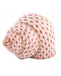 Periwinkle Shell - Image 10