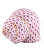 Periwinkle Shell - Image 11