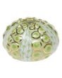 Sea Urchin 1.5"h X 1.75"d - Image 2