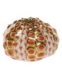Sea Urchin 1.5"h X 1.75"d - Image 3