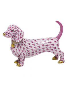 Dachshund - Image 5