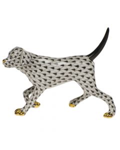 Labrador Walking - Image 3