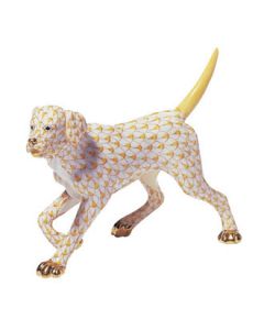 Labrador Walking - Image 4