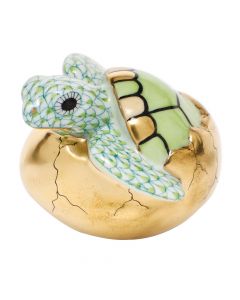 Hatching Sea Turtle - Image 2