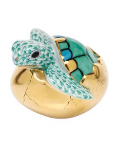 Hatching Sea Turtle - Image 4