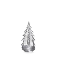 Silver Leaf Evergreen - Image 2