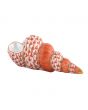 Staircase Shell - Image 10