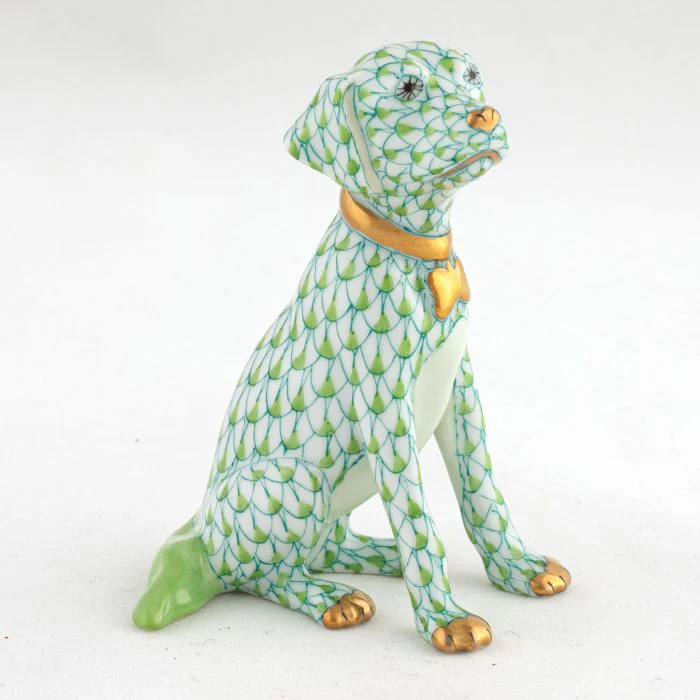Young Golden - Image 4